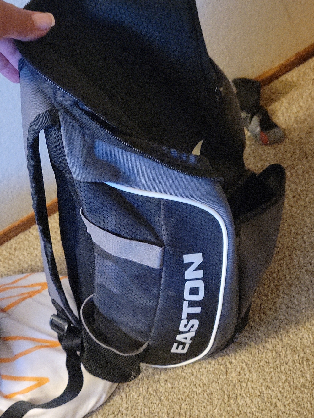 Baseball Bag